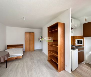 Appartement meublé - 1 pièce - Jardin Lecoq/Facultés - Photo 1