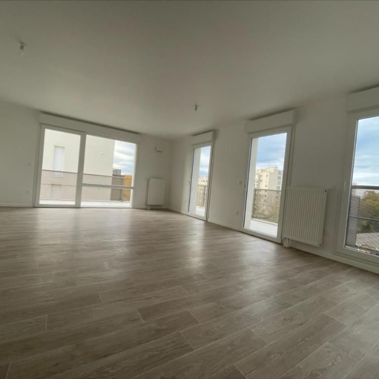 HAIE VIGNE - Photo 1