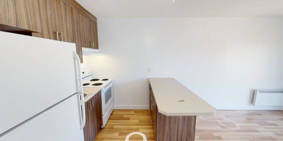 One-Bedroom (3.5) - 189-193-197 Rue Desjardins, Granby - Photo 3