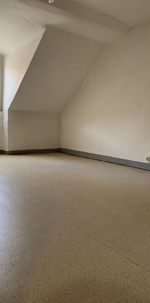 Appartement avec chambre séparée au centre ville de Vesoul - Photo 1