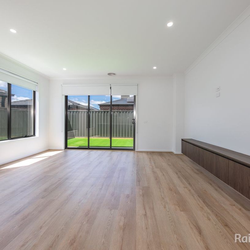 Brand New Luxury Living - Photo 1