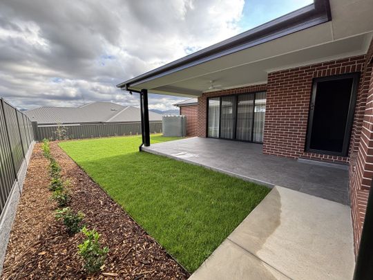 13 Alsace Place, Tamworth - Photo 1