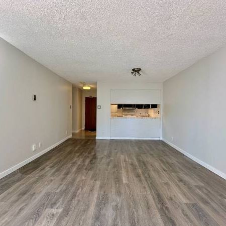 Amazing 1bed/1bath condo - Photo 4