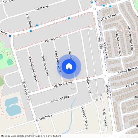 141 Jonas Mill Way Unit# Basement, Whitchurch-Stouffville