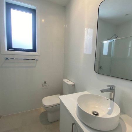 Near New One Bedroom Granny Flat - Photo 4