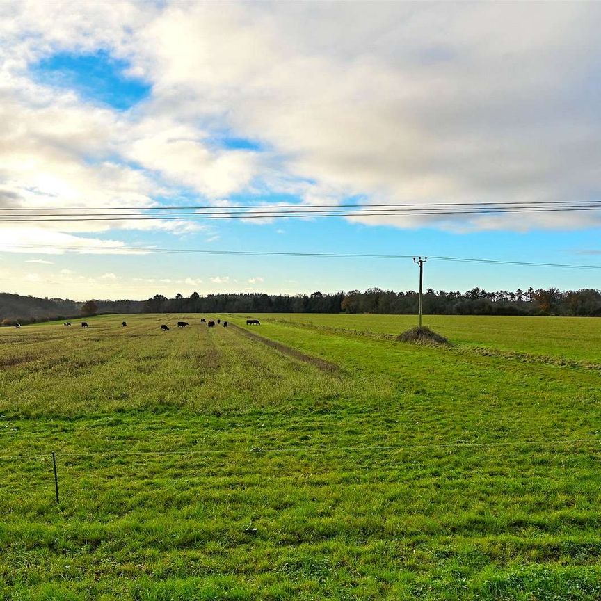 Nestled in the idyllic countryside of Nettlebed, this cottage is a charming and beautifully presented period property with stunning views of the countryside. - Photo 1