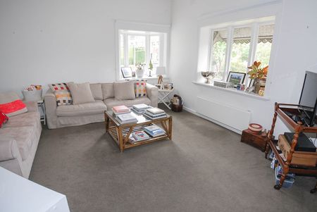 Spacious 2-Bedroom Apartment with Modern Upgrades & Stunning Treetop Views - Photo 5