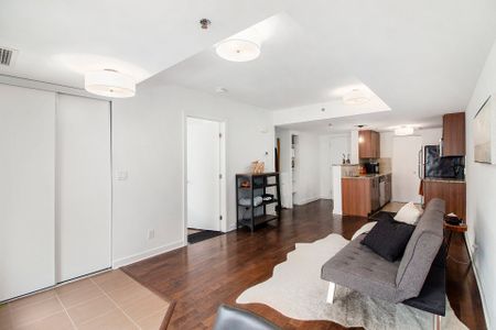 For Lease - 146 Daly Avenue Unit# 201, Lower Town - Sandy Hill, Ontario - Photo 2