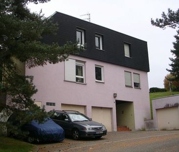 Location Appartement 1 pièce 28m² SARREGUEMINES 57200 - Photo 3