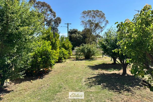 11 Devenport Street, 2717, Dareton Nsw - Photo 1