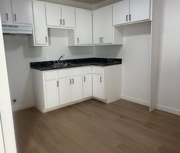 3 ½ | RÉNOVÉ | MONT-BELLEVUE | NOVEMBRE - Photo 3