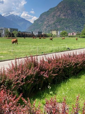 Pratico 3.5 locali immerso nel verde - Foto 5