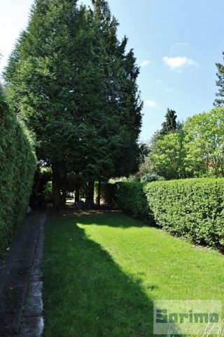 Maison - à louer - Foto 5