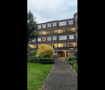 Room in a Shared Flat, Augustus Close, TW8 - Photo 1