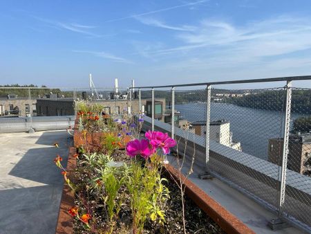 Tollare, Stockholm - Photo 5