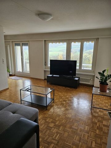 Gemütliche 2.5-Zimmerwohnung in Rudolfstetten - Photo 3