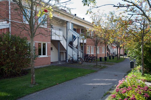 Kollegievägen 203 - Photo 1