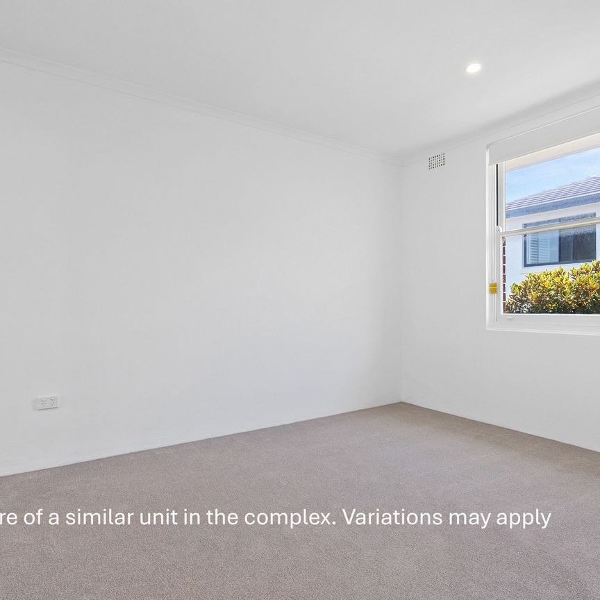 Stylish Ground Floor Apartment Moments from Elouera Beach - Photo 1