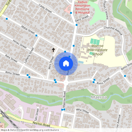 208 Maeroa Road, Maeroa, Hamilton City