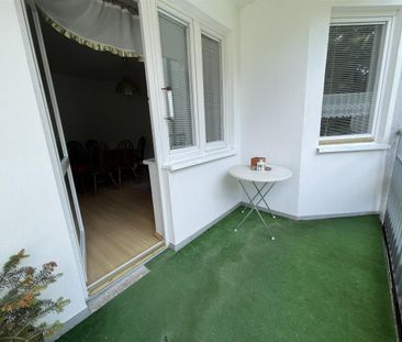 Zakole - Photo 5