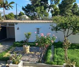 Μονοκατοικία για ενοικίαση - Αρτέμιδα (Λούτσα), - Photo 3