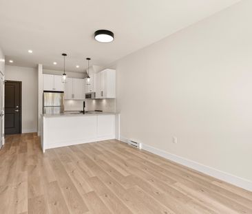 YEARLING - 306 - YE306 - Photo 6