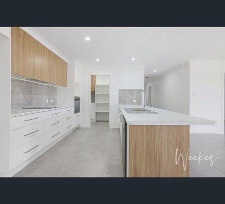 17 Wilson Street, Kepnock, Qld 4670 - Photo 5