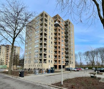 Appartement te huur: Hermelijnvlinder 41 1113 LC Diemen - Foto 1
