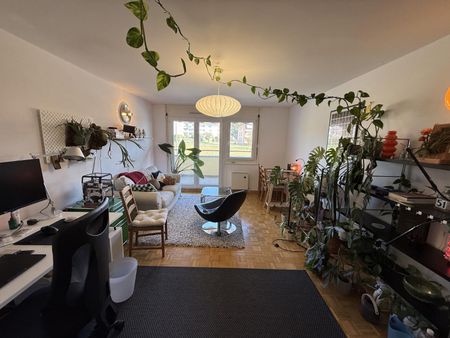 2.5 Zimmer, 55 m², 1. Stock - Foto 2