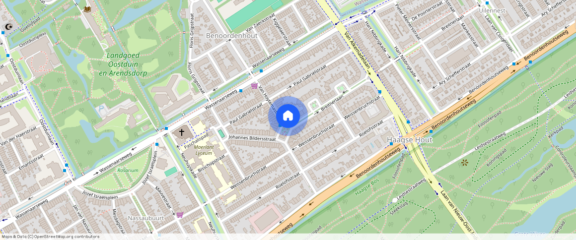 Van Hoytemastraat en omgeving, 2596 EN, Van Hoytemastraat, Den Haag