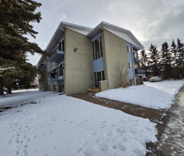 Beautiful Second Floor Unit! - Photo 5