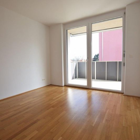 Liebenau – 58m² – 3 Zimmer – Balkon – WG-fähig - Foto 1