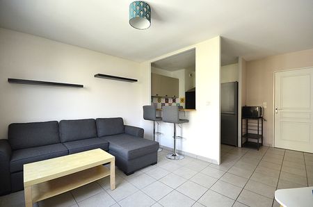 Appartement T2 Villeurbanne à louer - Photo 4