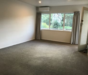 Renovated Unit - Horahora - Photo 3