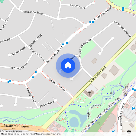 5 Tennant Place, NSW 2176, Edensor Park