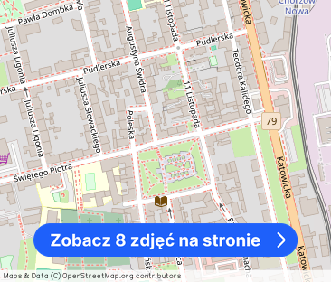 Atrakcyjne mieszkanie 3pok. ul. Adama Mickiewicza - Zdjęcie 1