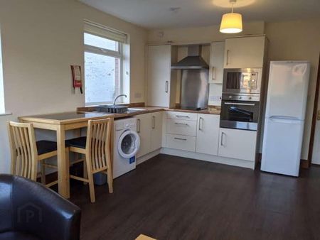 Apt 2, 16 College Gardens, Belfast, BT9 6BQ - Photo 3