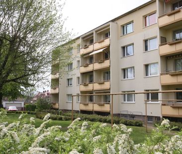 3-Raumwohnung mit Blick ins Grüne in ruhiger Stadtlage - Foto 2