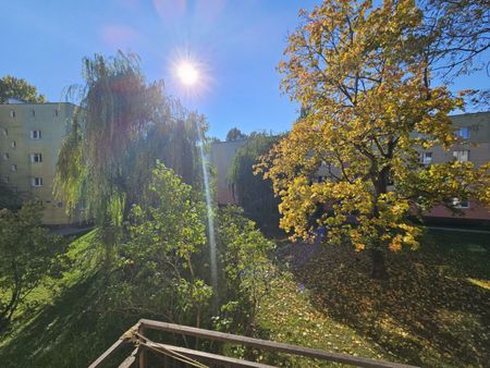 Słoneczna Kawalerka 33 m² z balkonem - Ursus - Zdjęcie 4