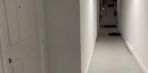 3 1/2 Rosemont sous-sol Basement Triplex - Photo 2