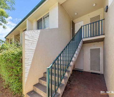 One Bedroom Apartment in Central Park Complex - Photo 3