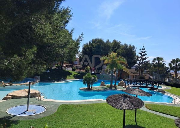 Alicante, Valencian Community 03130