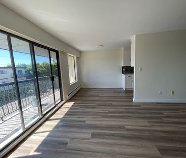 Newly Renovated Second Floor Apartment in White Rock - Photo 3