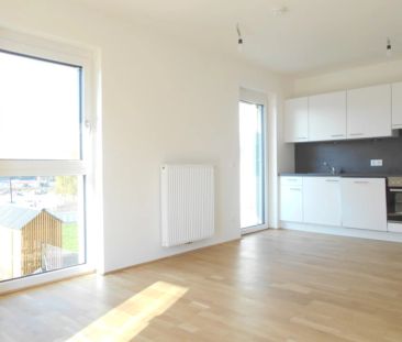 Q5 am PARK sonnige 3ZI am Reininghauspark, außergewöhnlich 3 S/W Ba... - Photo 6