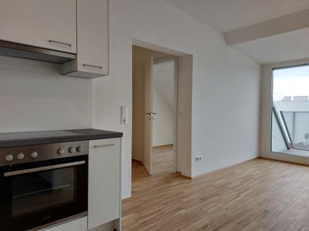 Zweitbezug! Nahe der Stammersdorfer Weingärten! Brünnerstraße 271 - Photo 3