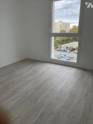 HAIE VIGNE - Photo 3