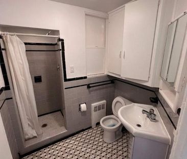 NEAR MCGILL U, GORGEOUS AND RENOVATED 1½ (pateau Mont Royal) - Photo 3