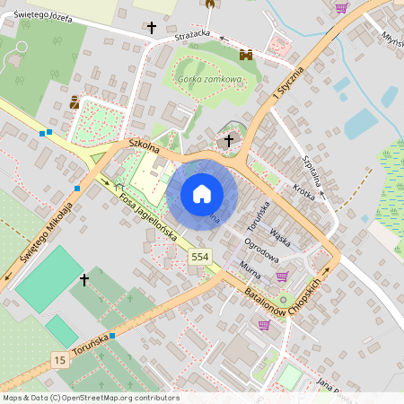 ul. Szkolna, Kowalewo Pomorskie, Kowalewo Pomorskie, golubsko-dobrzyński, kujawsko-pomorskie