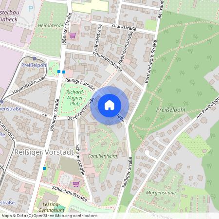 Reißiger Straße 113, 08525 Plauen