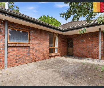 Prime Glenunga Location - Photo 5